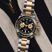 pagani design panda retro watch for men quartz wristwatches chronograph sports top brand luxury luminous clock reloj hombre 2022