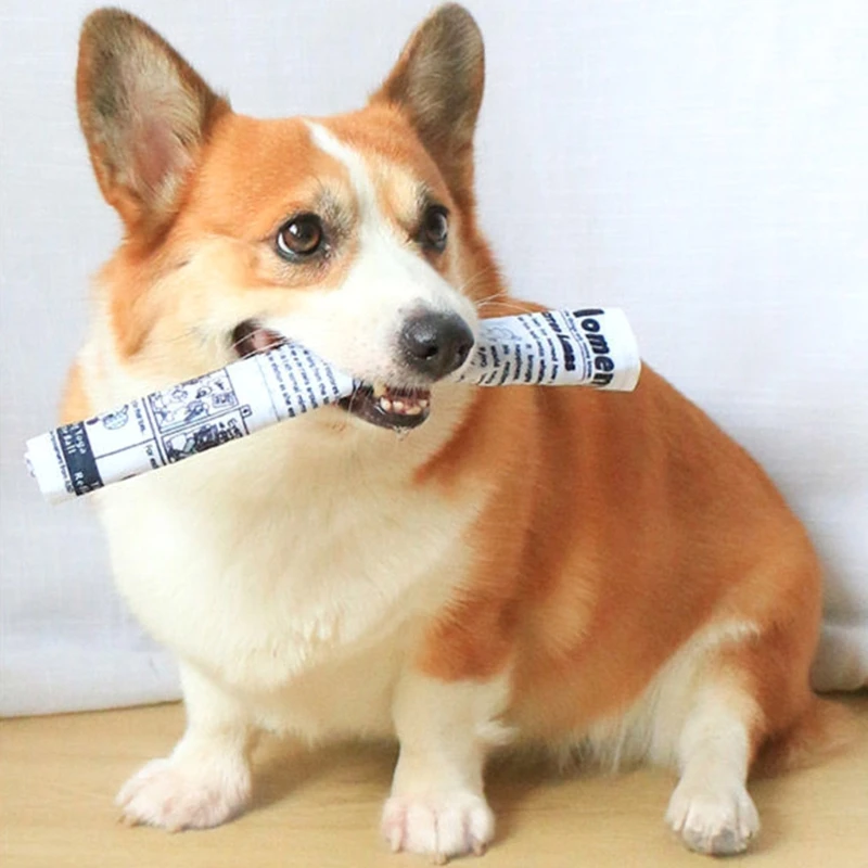 Игрушка-пищалка для собак игрушка щенков милая немягкая жевательная мягкая