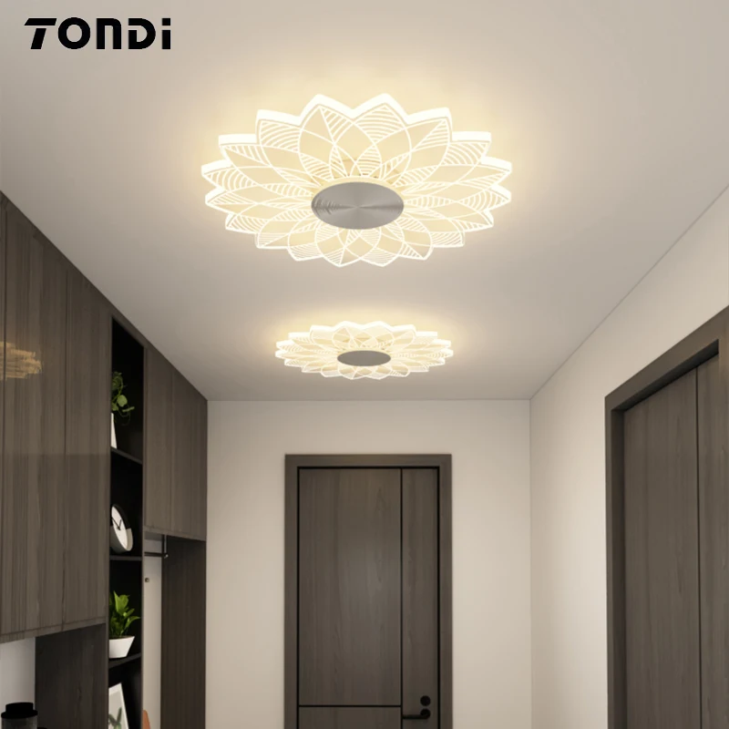 

Modern Led Aisle Light Ceiling Lights Cloakroom Balcony Ceiling Lamp Indoor Lighting Acrylic Decoration Home Lustering Luminaire