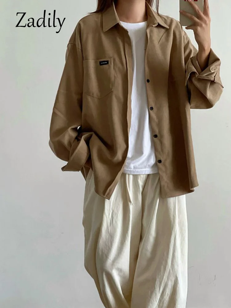 

Autumn Minimalist Style Long Sleeve Shirt Women Oversize Button Up Tunic Blouse Work Female Fashion Clothing Top