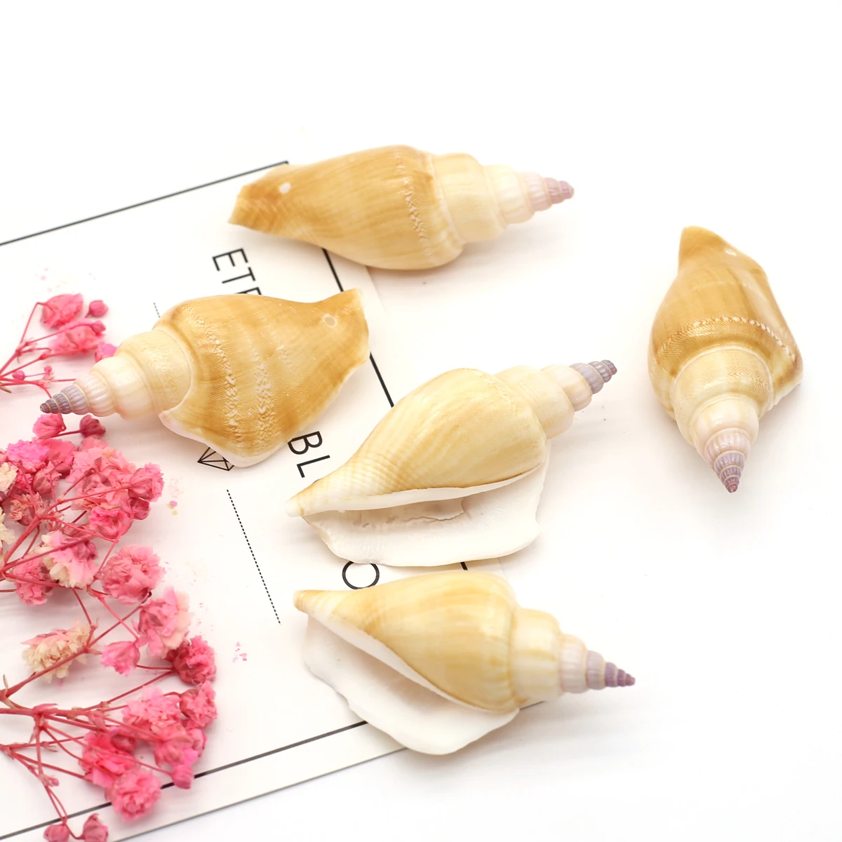 Natural Shell Conch Beads DIY Decoration Accessories Natural Yellow Shell Loose Beaded for Making Necklace Bracelet Wholesale