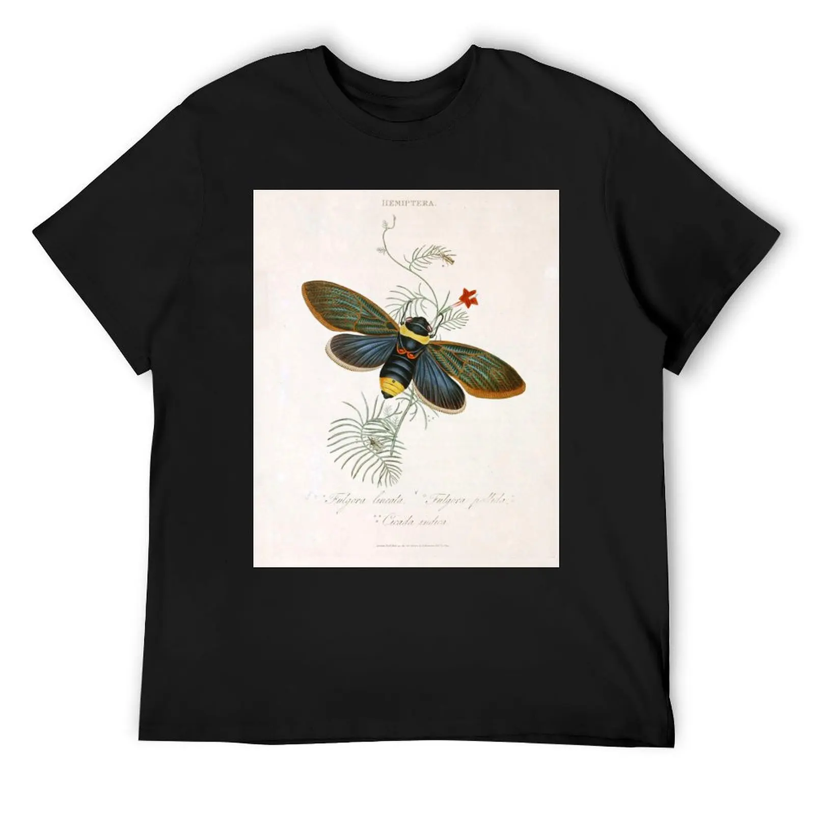 Мужская футболка Tacua Speciosa Cicada