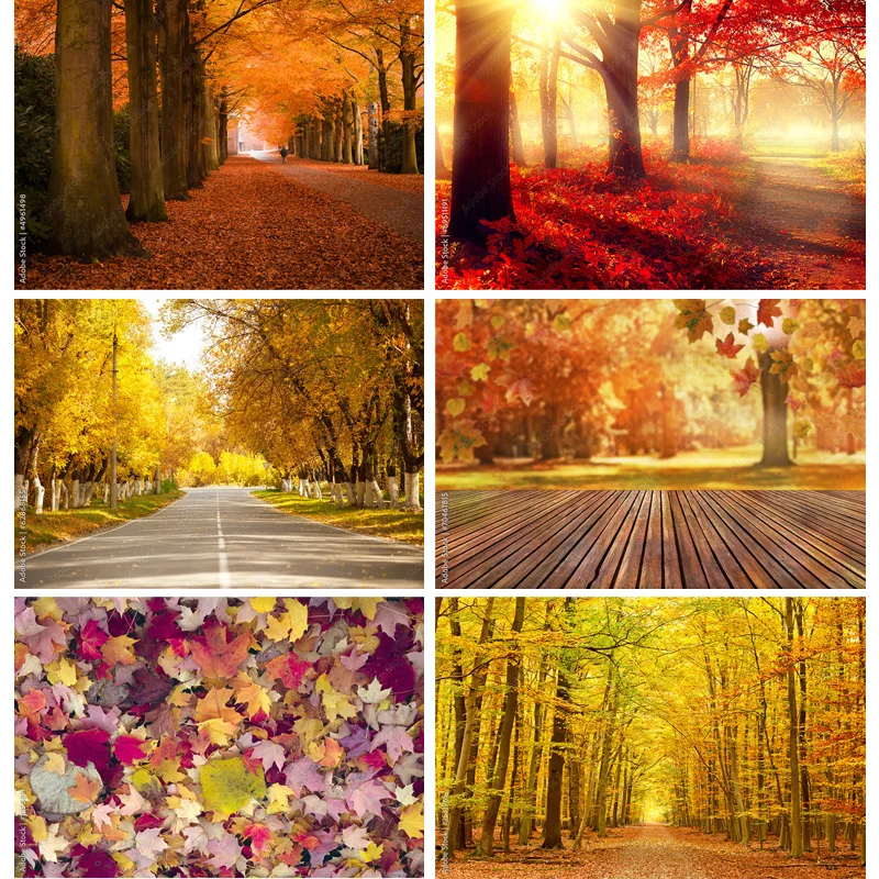 

Natural Scenery Photography Background Fall Leaves Forest Landscape Travel Photo Backdrops Studio Props 211224 QQTT-01
