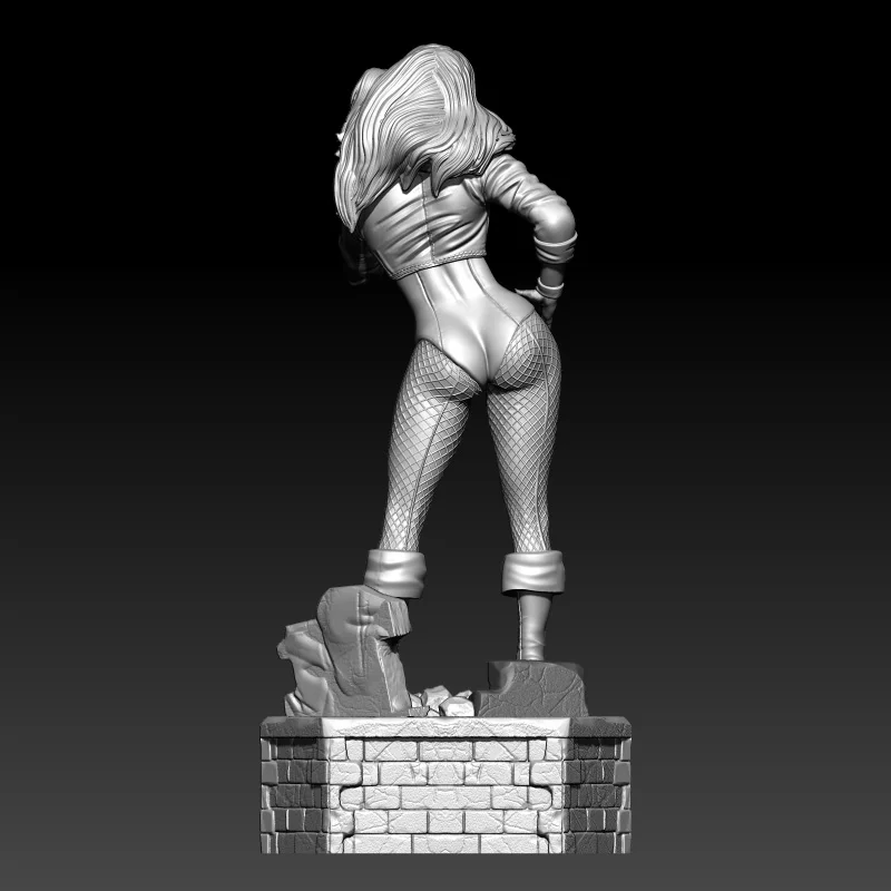 1/24 75 мм 1/18 100 набор моделей из смолы черная кошка искусственная фигурка
