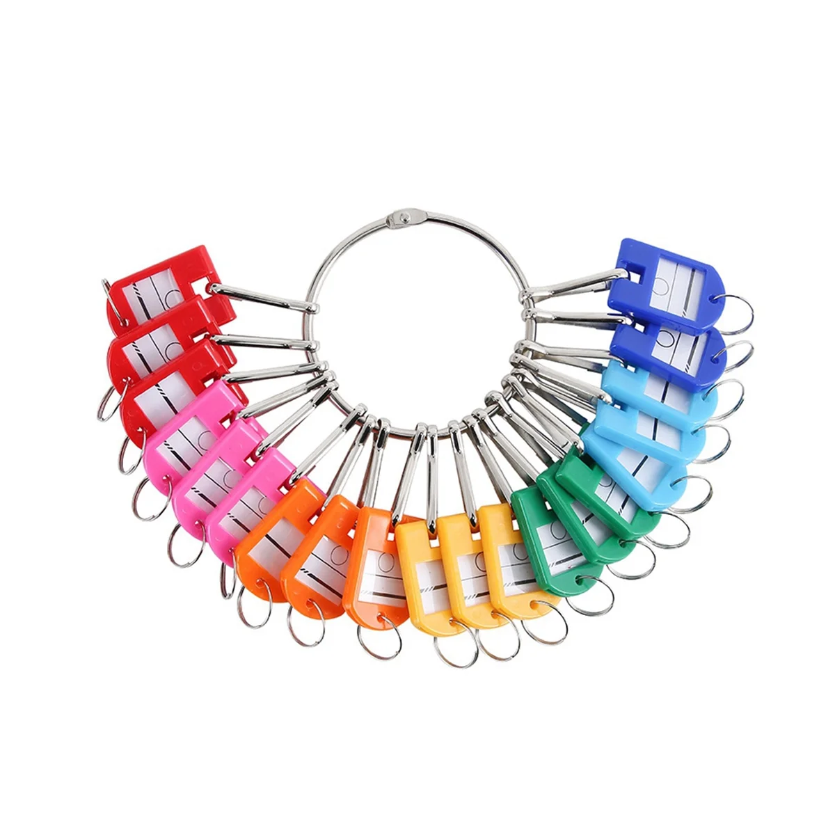 

Portable Metal Ring Key Organizer with 30 Spring Hooks & Key Tags with Ring and Label Window