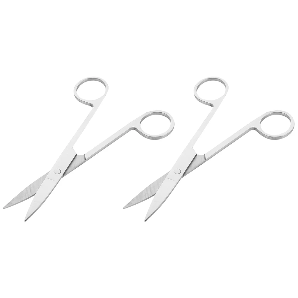 

2 Pcs Dissecting Scissors Nickel Animal Surgery Laboratory Precision Anatomy Experiment Emergency Plated Student First Aid