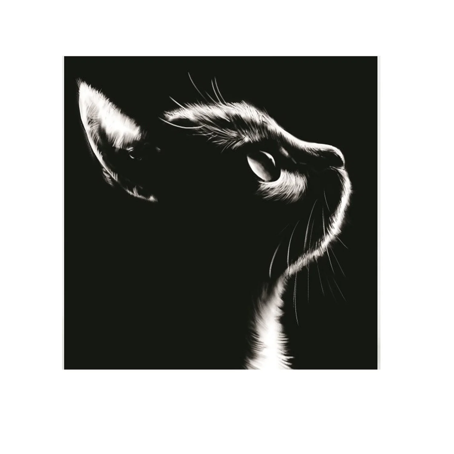 

Kitten head with picture and flag, living room decoration, interior decoration painting, 600d4 buckle, 100 * 100cm