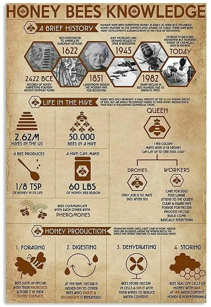 Цветные плакаты Greyhound из металла и олова для знаний о виде собаки фермы семейного