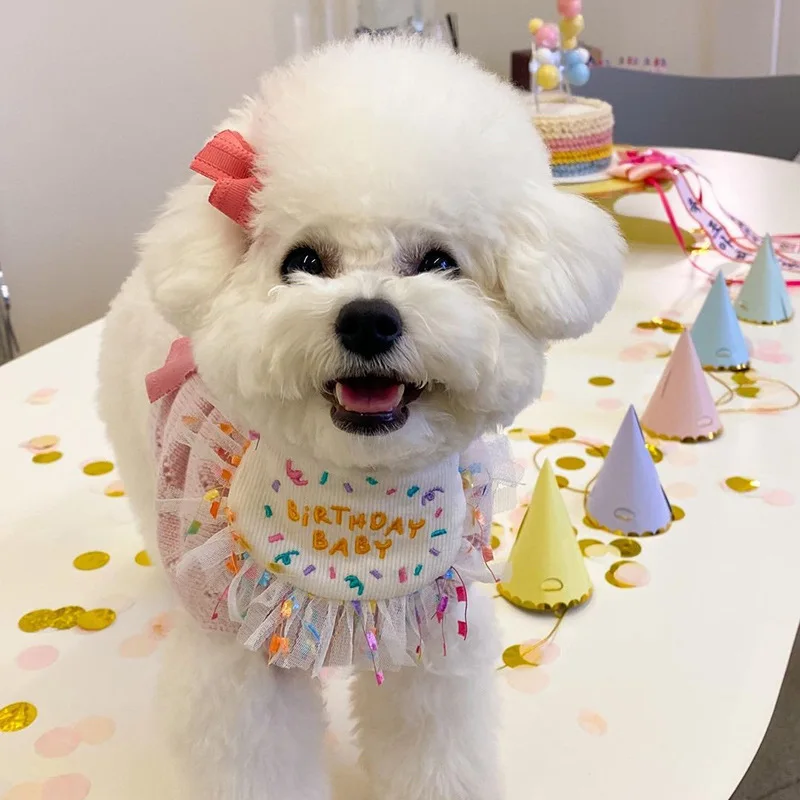

Dog Supplies Birthday Party Pet Birthday Saliva Towel Bichon Triangle Scarf Bib Hat Saliva Towel Set Chihuahua Dog Accessories
