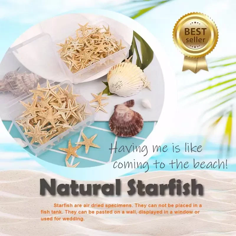 

1 Box Natural Starfish Seashell Beach Craft Natural Sea Stars DIY Beach Wedding Decoration Crafts Home Decor Epoxy 1-5cm