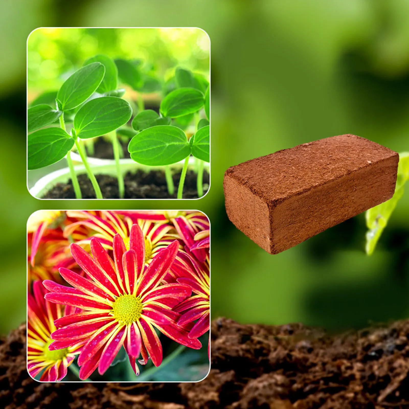 

650g 9L Planting Coco Nutrient Soil Substrate Coconut Coir Bricks Coir Pith Growing Media