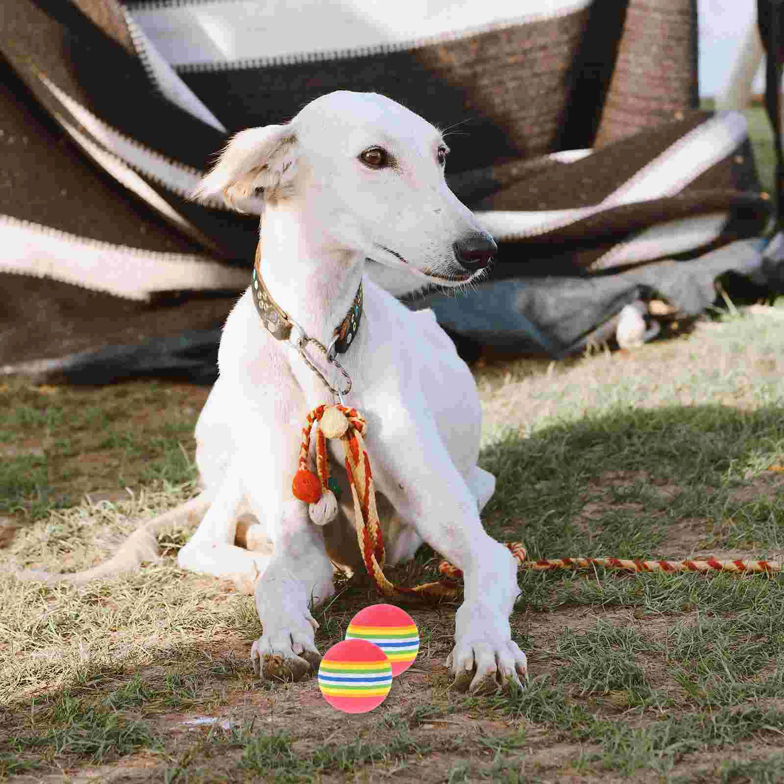 

Toy Dog Pet Toys Puppy Chew Rubber Cat Bouncy Interactive Training Dogs Plaything Funny Playing Throw