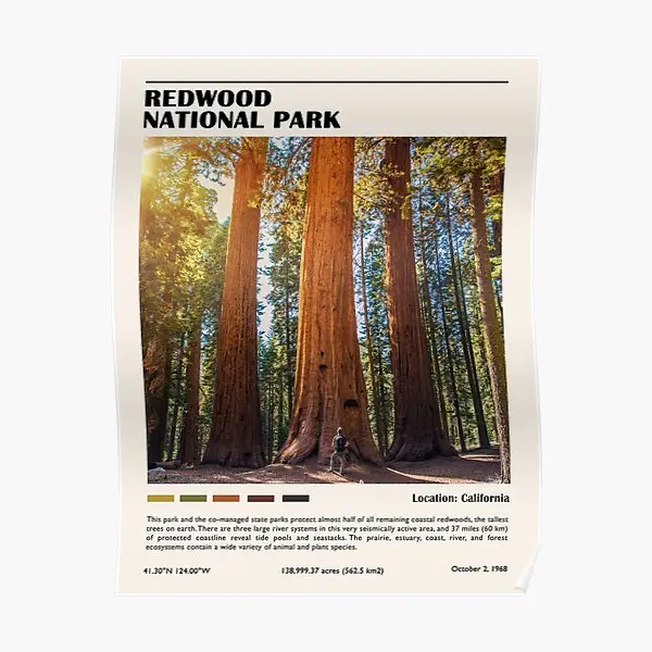 

Постер национального парка Redwood, Настенная картина, картина для комнаты, винтажное украшение, Забавный домашний принт, современный настенный Декор, без рамки