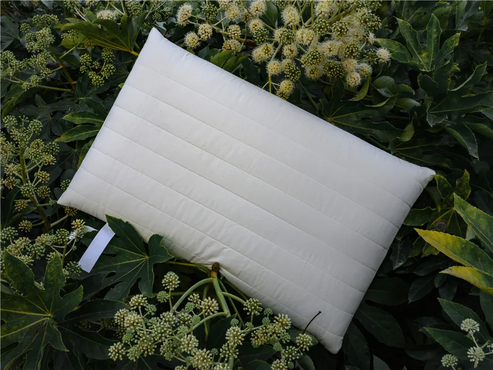 

Slow rebound cotton memory pillow Low rebound pillow Single person comfortable sleep Adult low pillow neck protection Soft