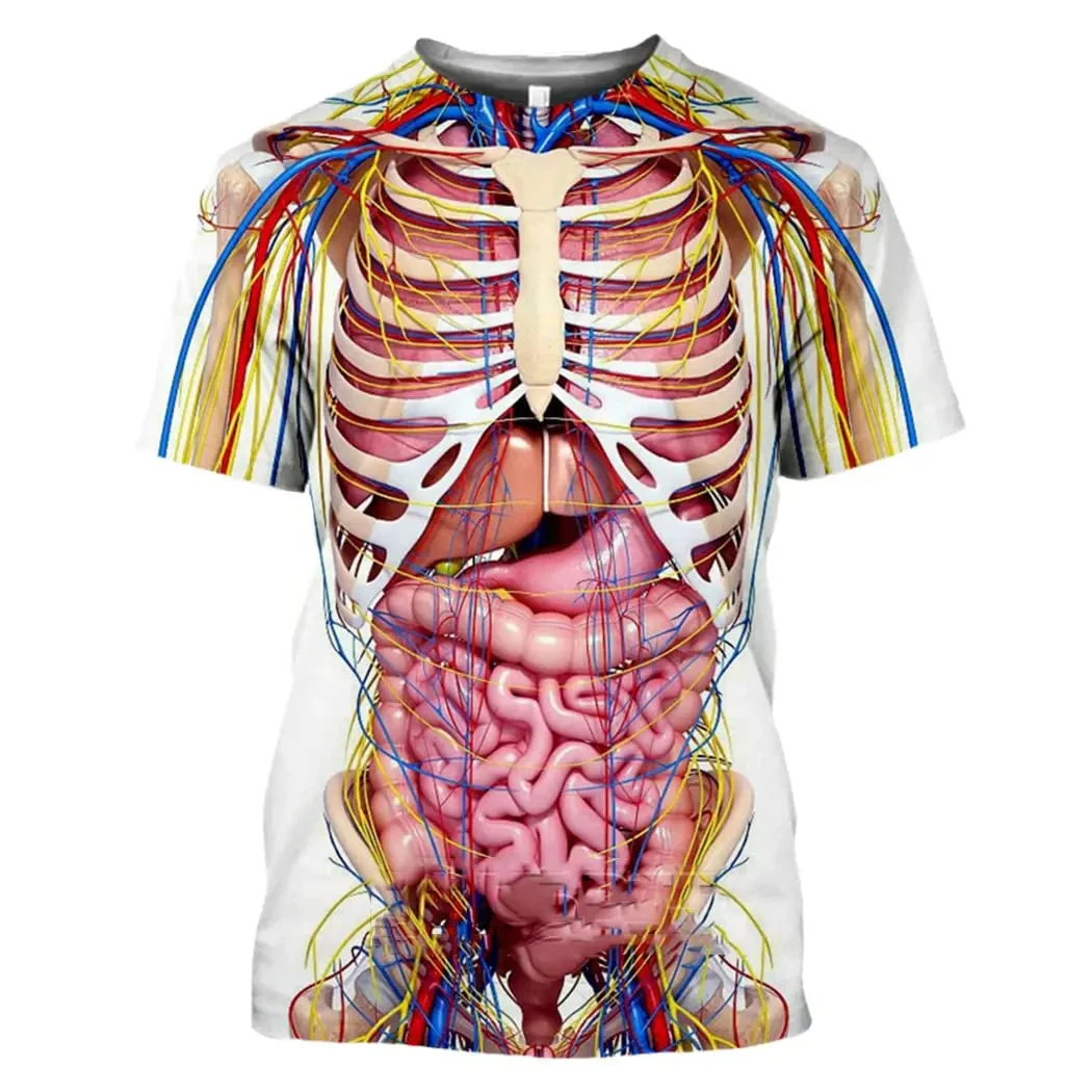 Скелет с внутренними органами. Футболка с органами человека. Органы на майке. Реалистичные рисунки органов на футболке. Устройство внутренних органов с ребрами.