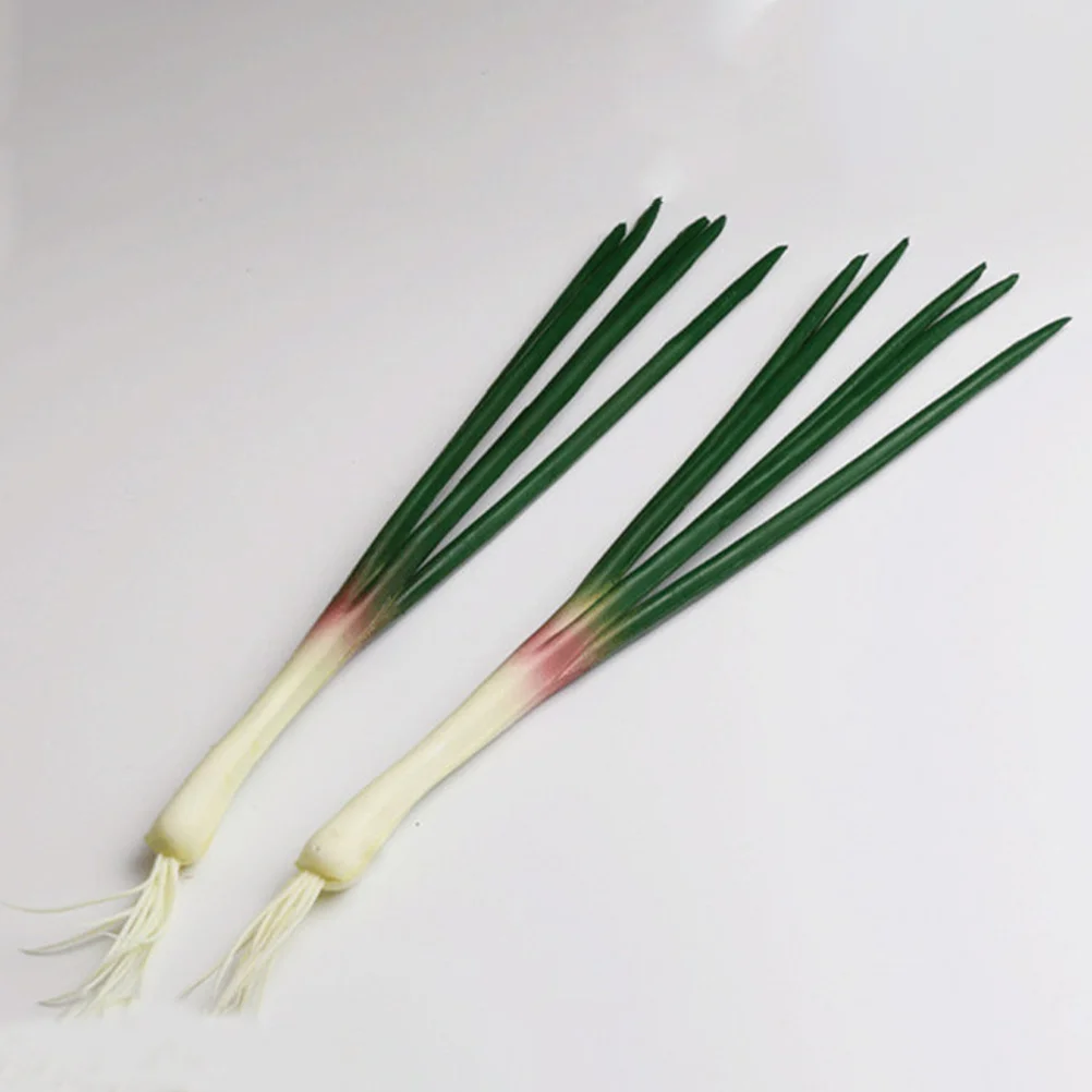 Simulated Onion Model Showcase Display Props Artificial Simulation Fake Vegetable Models