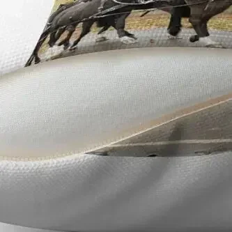 King's Troop Royal Horse Artillery Throw Pillow Sofa Cushions Decorative For Living Room pillow