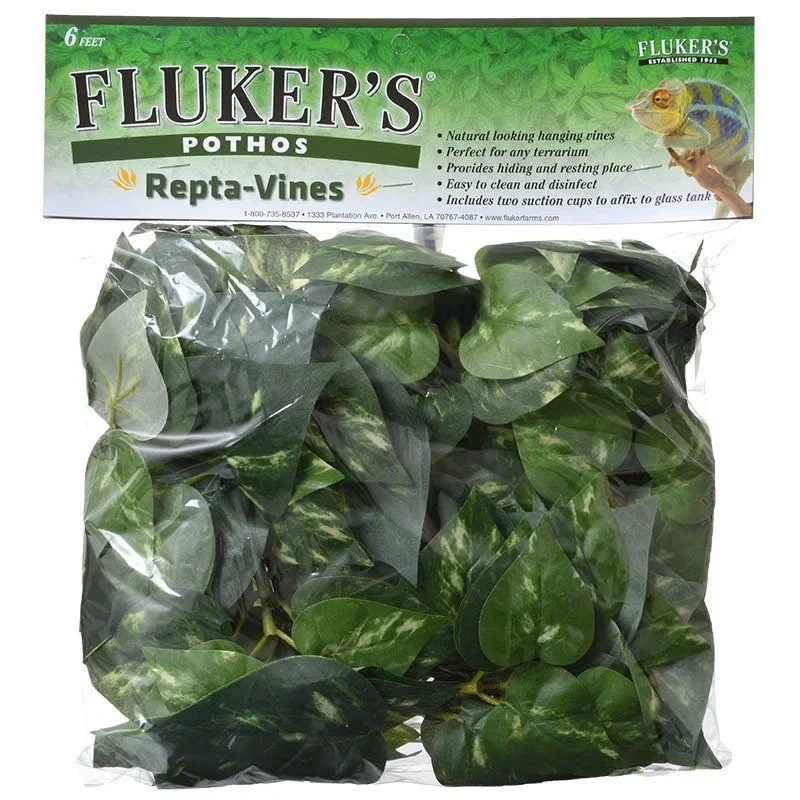 

Pothos Repta-Vines