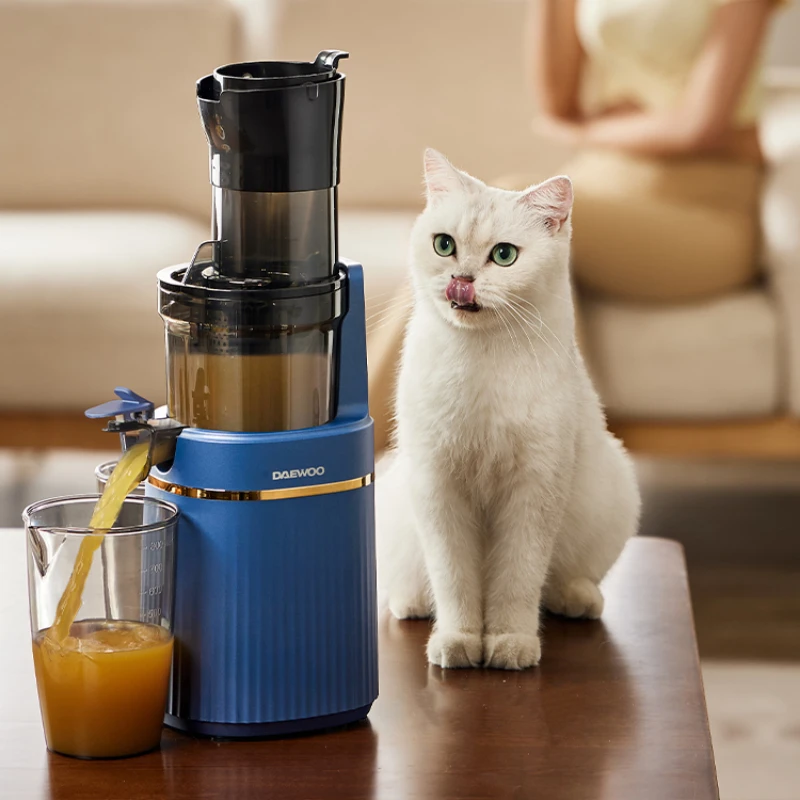 Slag Juice Separation Juicer Large Caliber Household Small Fried Juice Machine Fruit Cold Press Easy Cleaning Free Freight