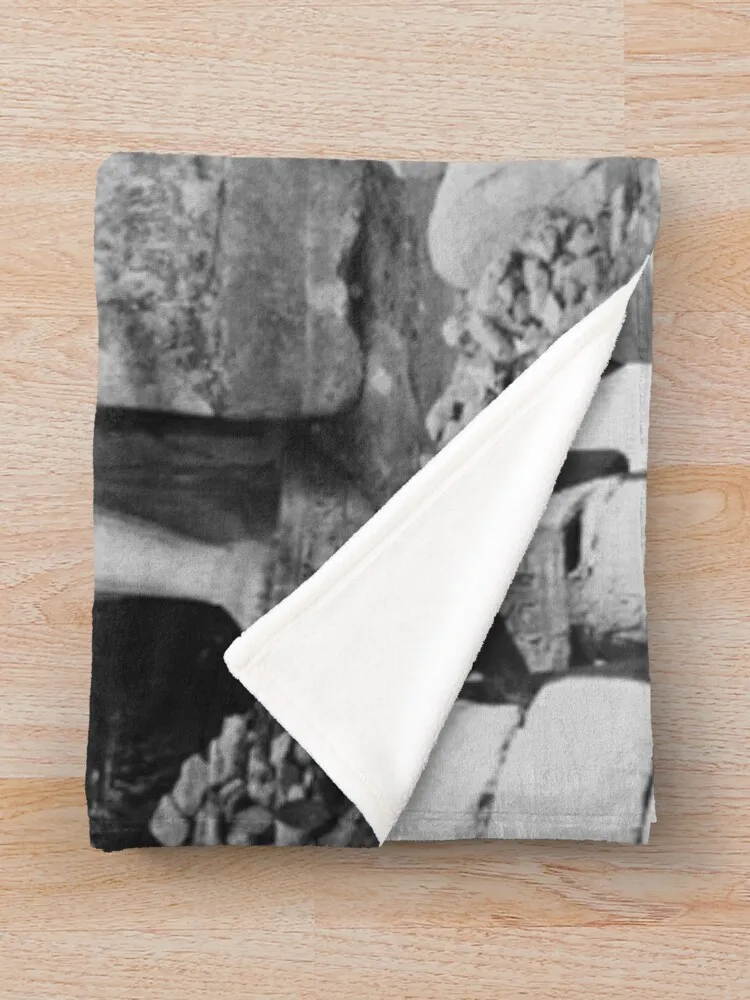 Древний Египет Портретные статуи Фарма Рамеса Люксор 1922 черно-белый принт