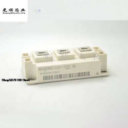 

BYM300B170DN2