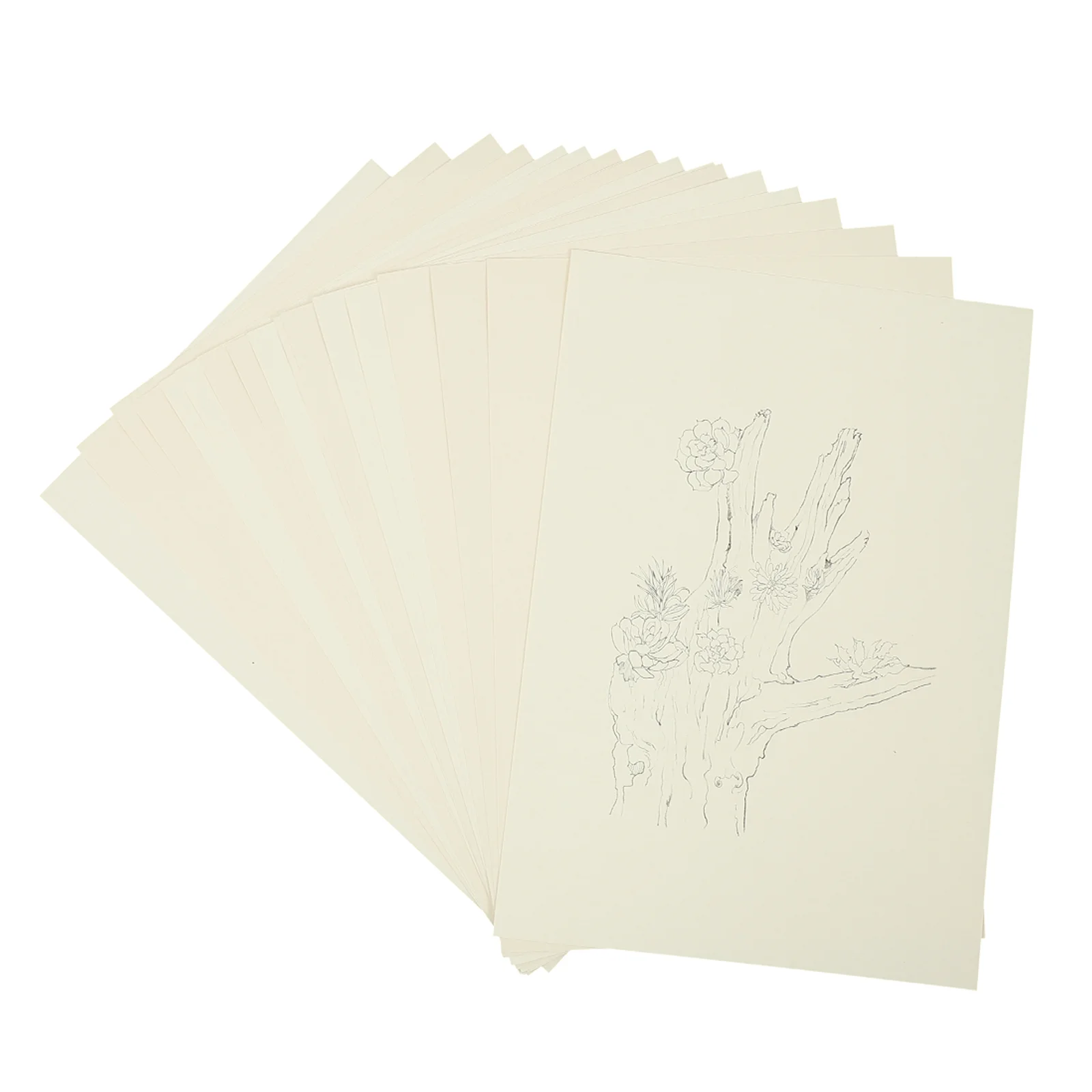 

Альбом для акварели, книжка-раскраска для суккулентов, Бумажная книга для рисования, книжка для акварели, доска для акварели
