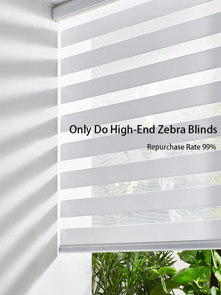 Half Blackout Zebra Blinds Light Filtering Roller Blinds Day