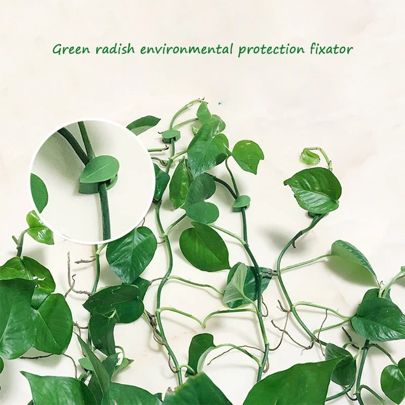 Невидимый настенный светильник из ротанга для подъема растений держатель с