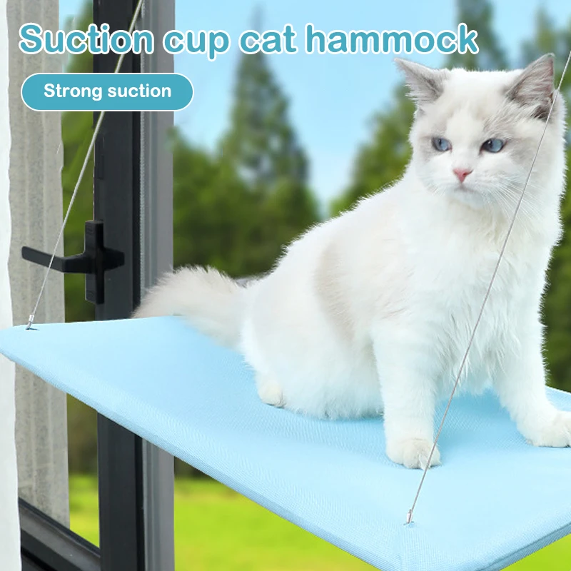 Pet Accessories