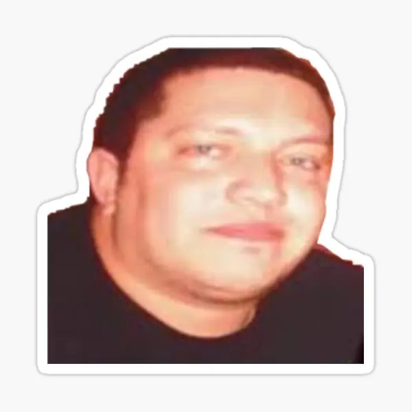 Непрактичные наклейки для окна и бампера Sal от Jokers 5 шт. домашний принт настенные