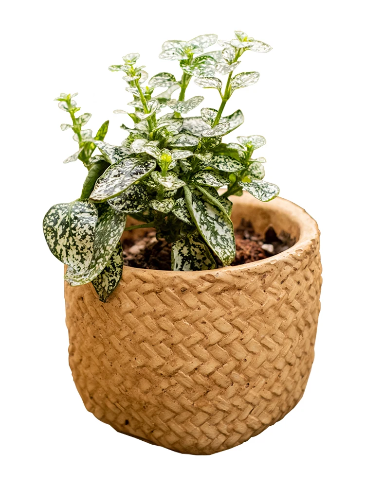 Cement Flower Pots For Indoor Planters Retro Style Succulent Flowerpots Brown Color Home Garden Decoration Deaktop Ornaments