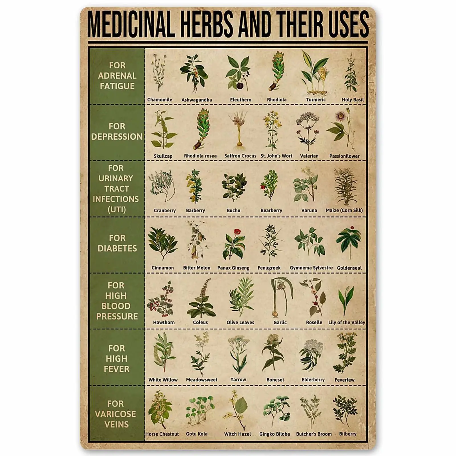 

Medicinal Herbs and Their Uses Posters Metal Signs Wall Decor Room Decor Hospital Clinic Doctor Home Bedroom Club Wall