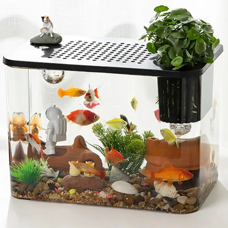 Mini Betta akwarium na biurko złota rybka żółw małe dekoracyjny kompaktowy zbiornik do hodowli żółwi