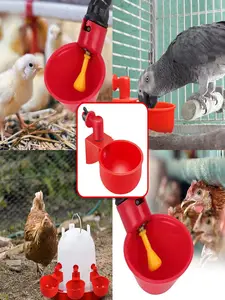 de gallina – Compra bebedero de gallina con envío en version