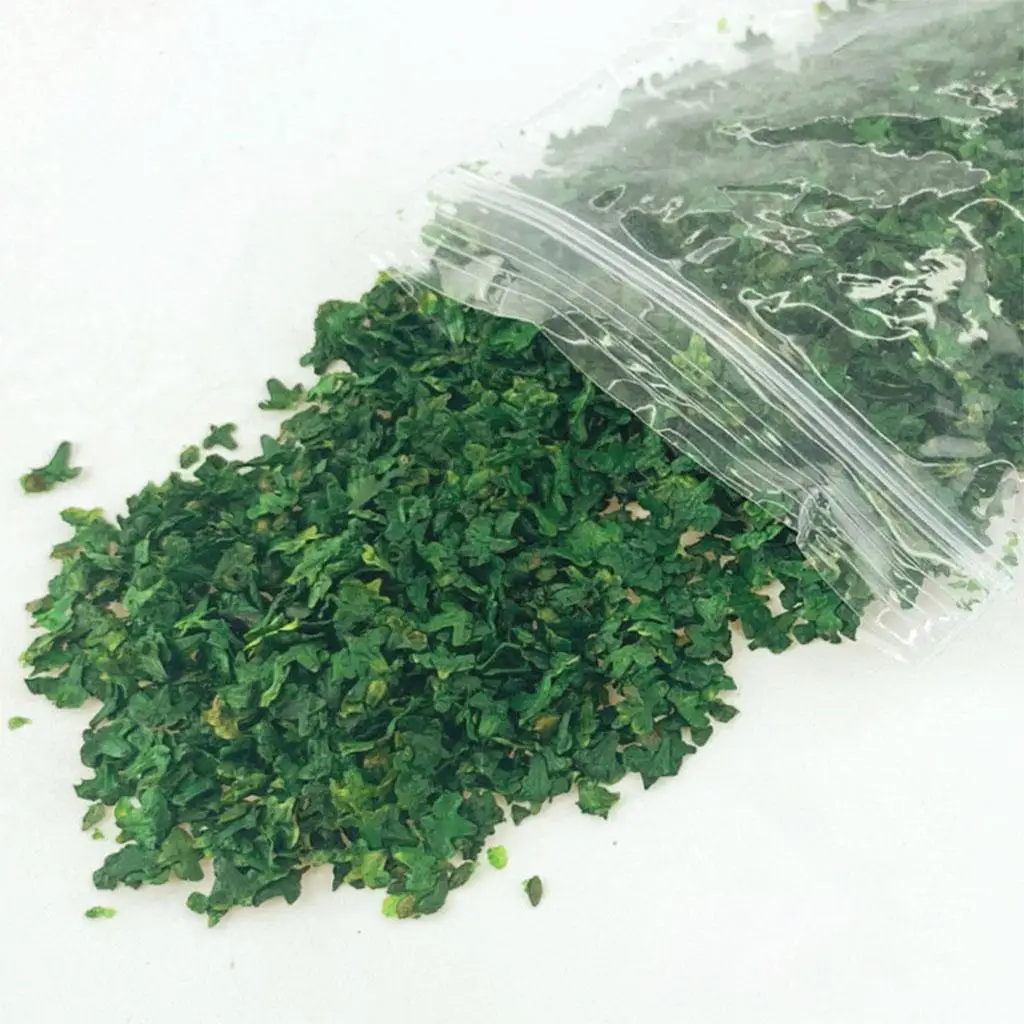 33 мл миниатюрная статическая модель листьев архитектура песочный стол диотома