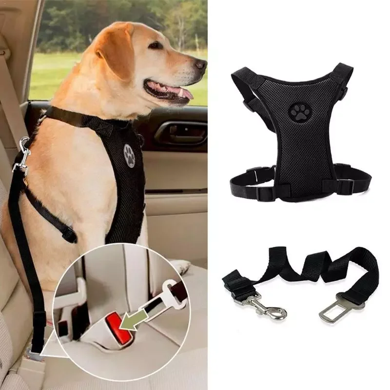 

NEW2022 Outdoor Training Dog Snack Bag Breathable Mesh Dog Harness Leash With Adjustable Straps Car Automotive Seat Safety Belt