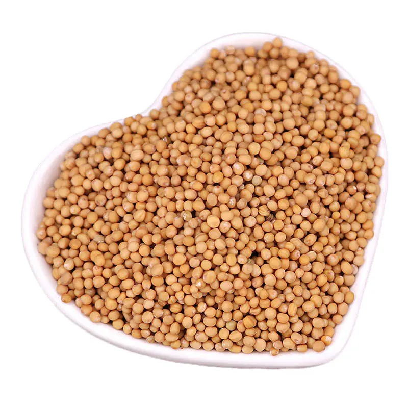 

Семена белого горчичного фрукта Bai Jie Zi