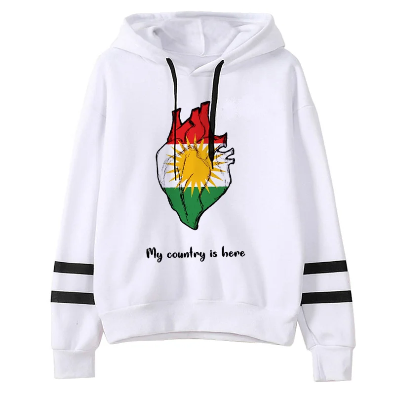 

kurdistan hoodies women anime hip hop Korea y2k aesthetic women sweatshirts clothing harajuku printed