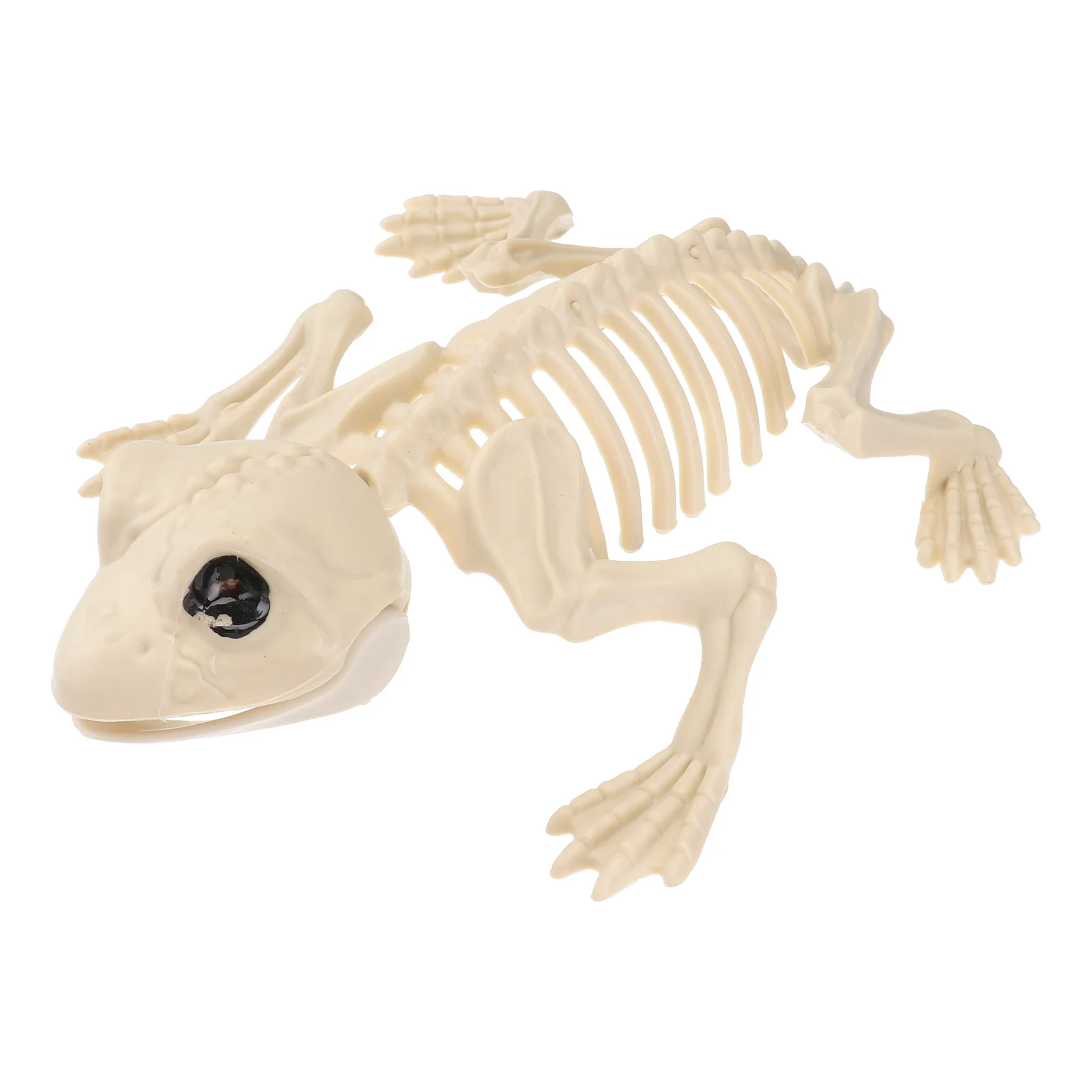 

Skeleton Halloween Frog Animal Decorations Fake Skull Luminous Bones Spooky Skulls Bone Poseable Decor Frogs Decoration Props