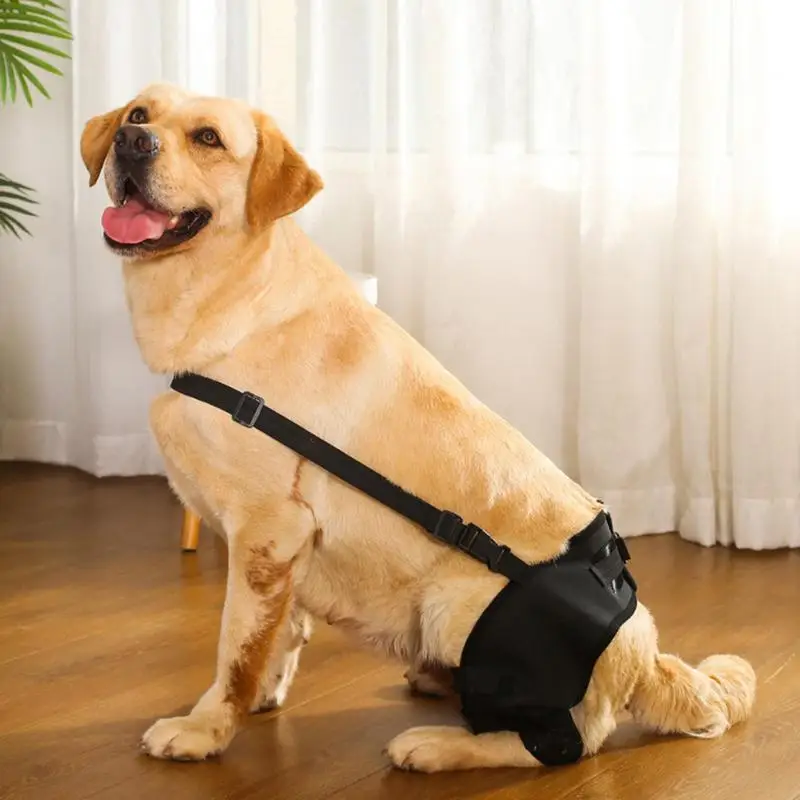 

Rear Leg Knee Brace Joint Hock Wrap Dog Knee Brace Bandage Knee Pad Hip Joint Support Pet Leg Injury Fixed Protective Gear