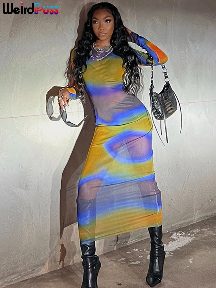 

Женское Сетчатое платье с длинным рукавом и круглым вырезом