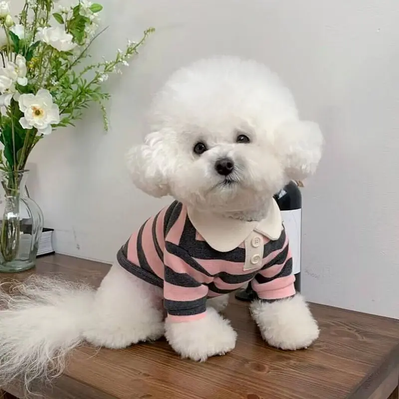 Dog Clothes Schnauzer Teddy York Shire Polo Shirt Summer Dress Striped Pet T-Shirt Dog Costume Soft Pullover Suit for Dog Puppy images - 6