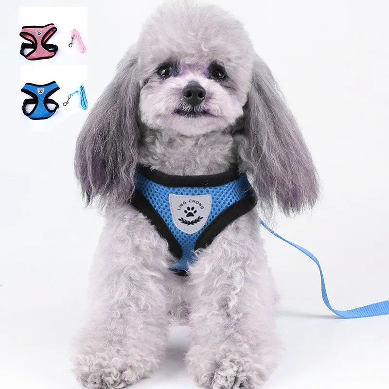 

Поводок для дрессировки домашних животных, собак, кошек