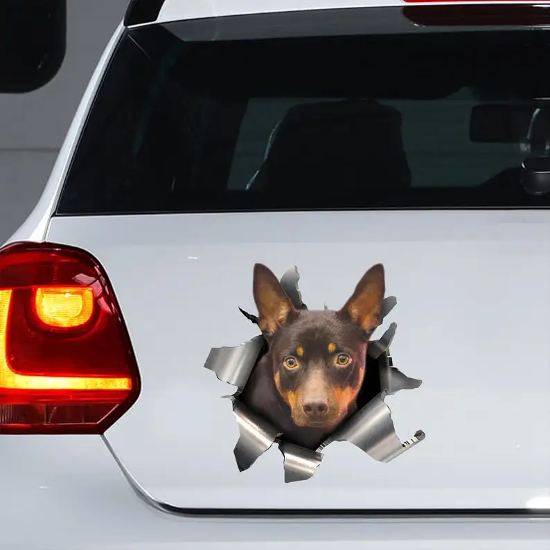 

Australian Kelpie car sticker, Australian Kelpie decal, Australian Kelpie magnet, Kelpie sticker