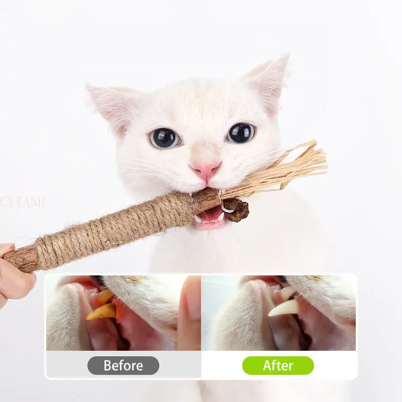

Cat Grass Teeth Grinding Stick Cat Toy Toys and Pet Supplies Molars Mint Kitty Cat Snack Toy Pet Supplies Interactive Toys