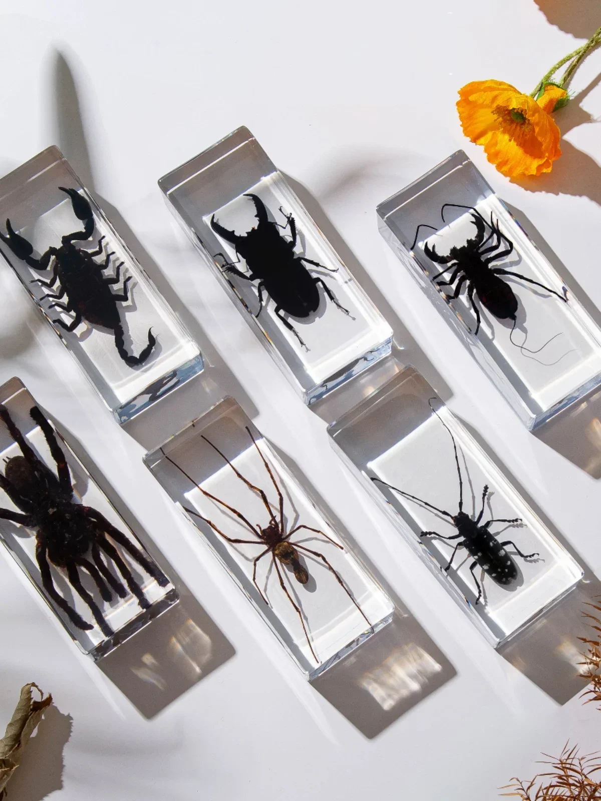 Стиль искусственный образец прозрачный зернистый белый пятнистый длинный