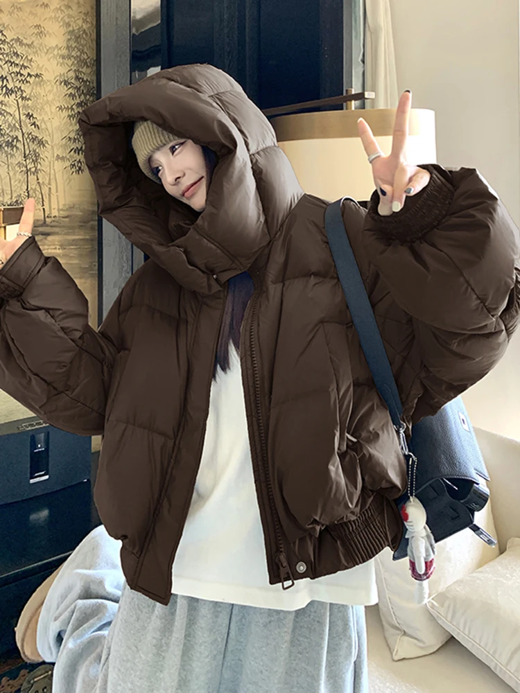 Maillard Short Down jacket Women's Winter 2024 New Small Fashion Western Sle down Coat Hoodie