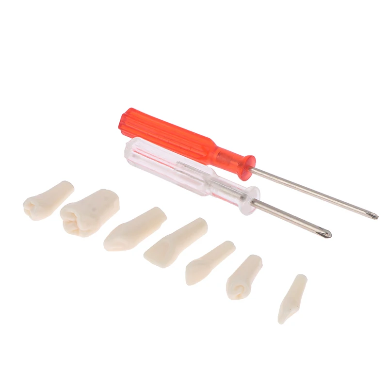 

Dental Resin Teeth Typodont Model 28/32 Removable Screw Fixed Tooth Dentist Lab Oral Endodontics Internship Teaching