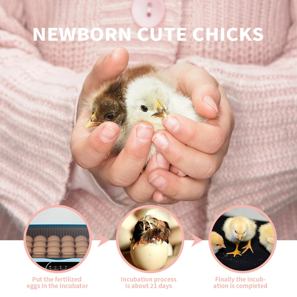 Автоматический инкубатор на 15 яиц Инкубатор Гусь Утка Перепел Голубь Птица