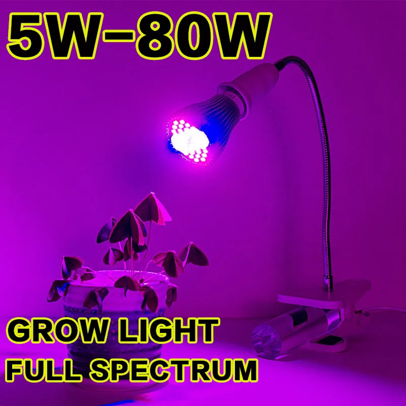 

LED Grow Light Full Spectrum 5W/10W/30W/50W/80W Grow Light Accessories COB Bulb 110V/220V For Lighting for Indoor Plant Growth